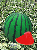 һ